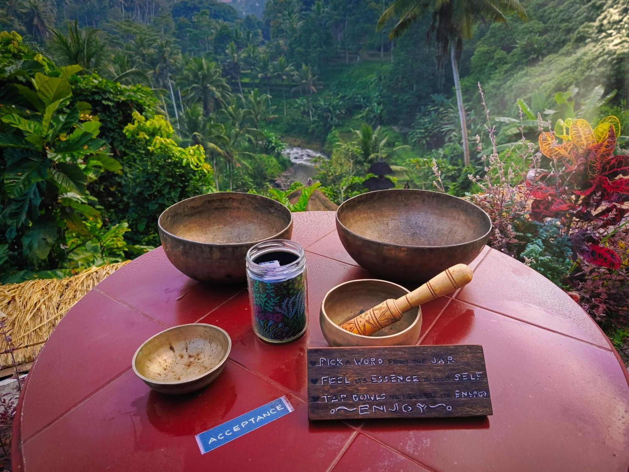 River Song Bali Villa Ubud (Bali)