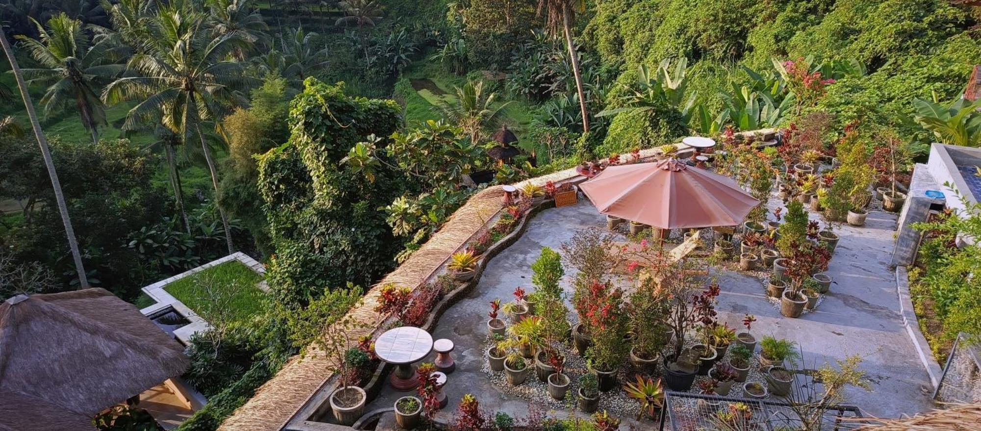 River Song Bali Ubud (Bali)